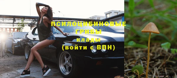 спиды Волосово