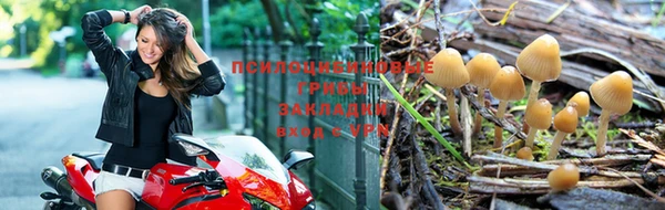 каннабис Володарск